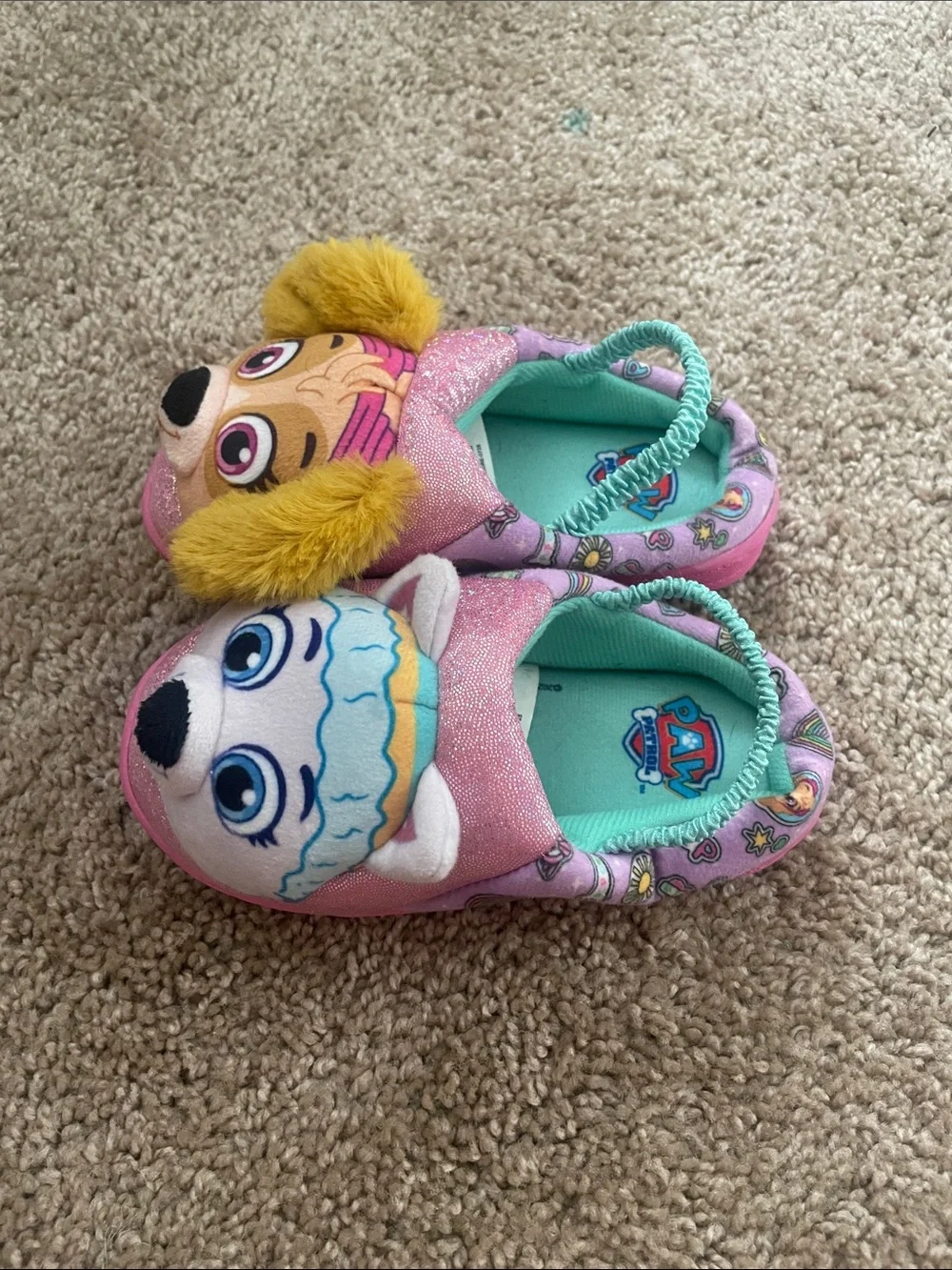 Paw Patrol adorable paw